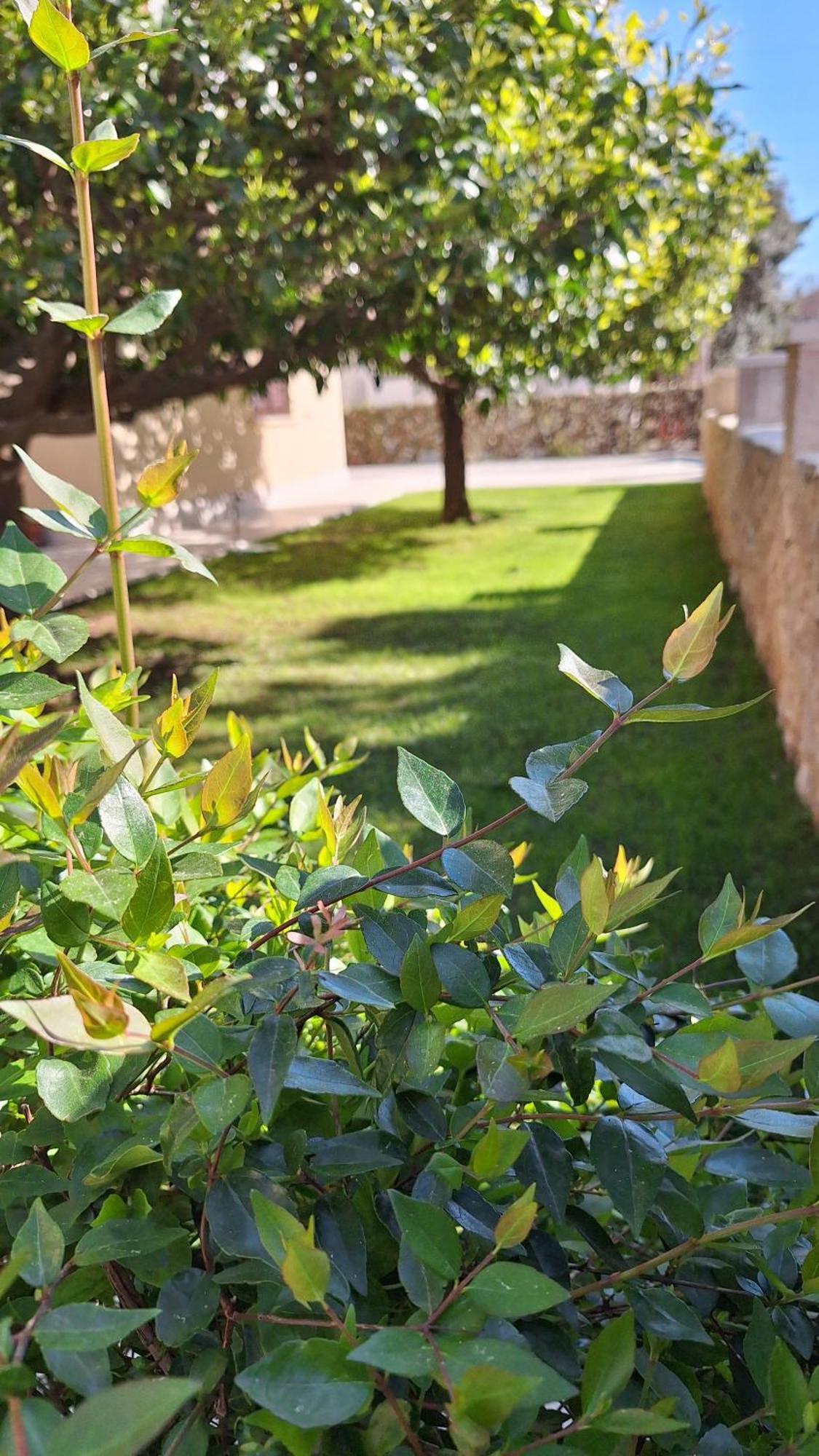 Apartment Antares Cavtat