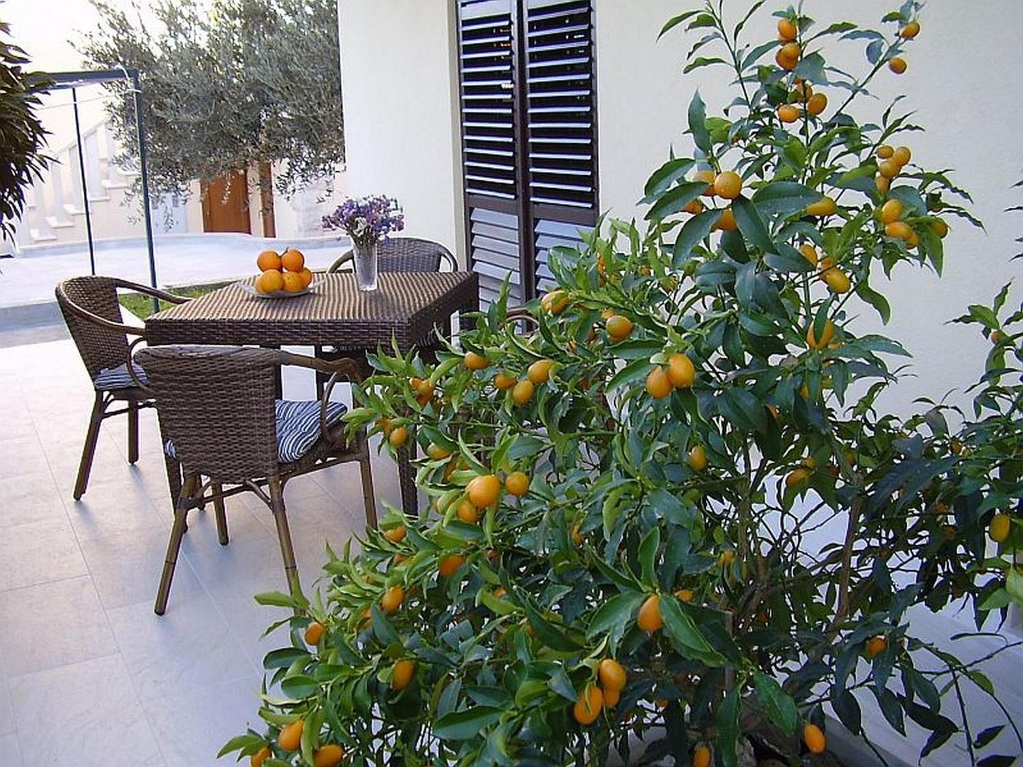 Apartment Antares